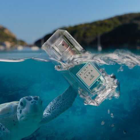 Добро пожаловать в Acqua dell'Elba