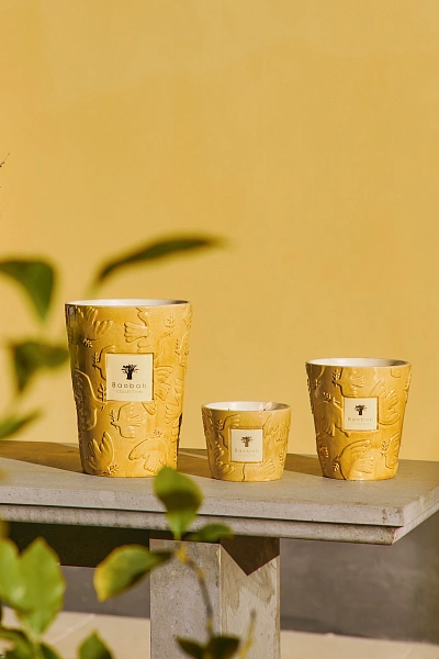 Baobab Collection Paz свеча Max 10 Dove 500г