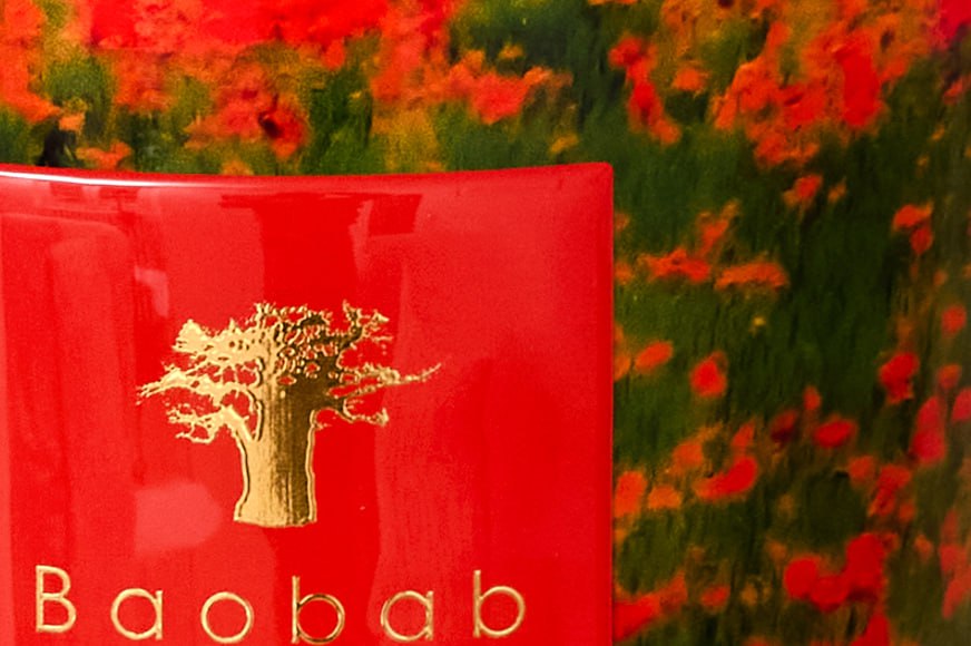 Baobab collection весна - Лето 2026