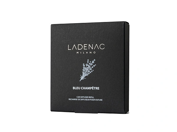Refiil Car Diffusser - Сменные блоки для диффузора авто Blue champetre 2шт