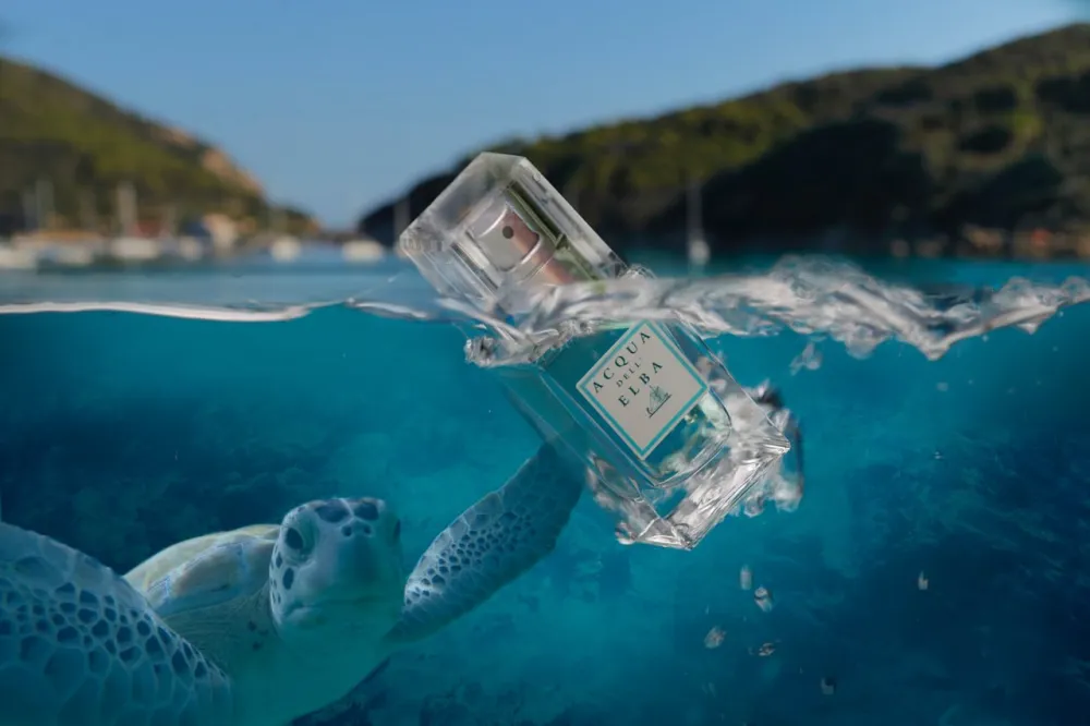 Добро пожаловать в Acqua dell'Elba